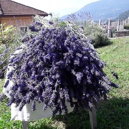 La Casetta Del Ponte Lägenhet Crevoladossola