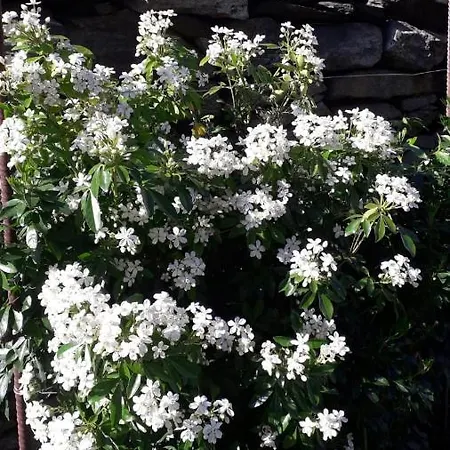 Appartement La Casetta Del Ponte Crevoladossola