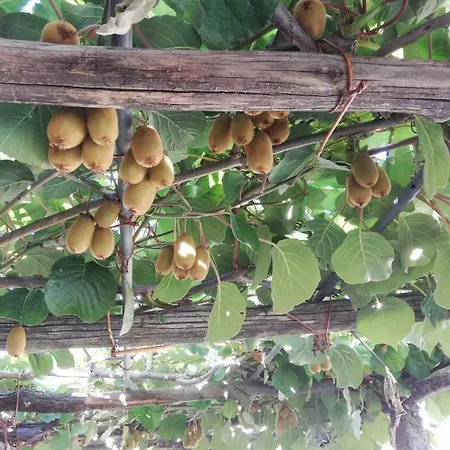 Lägenhet La Casetta Del Ponte